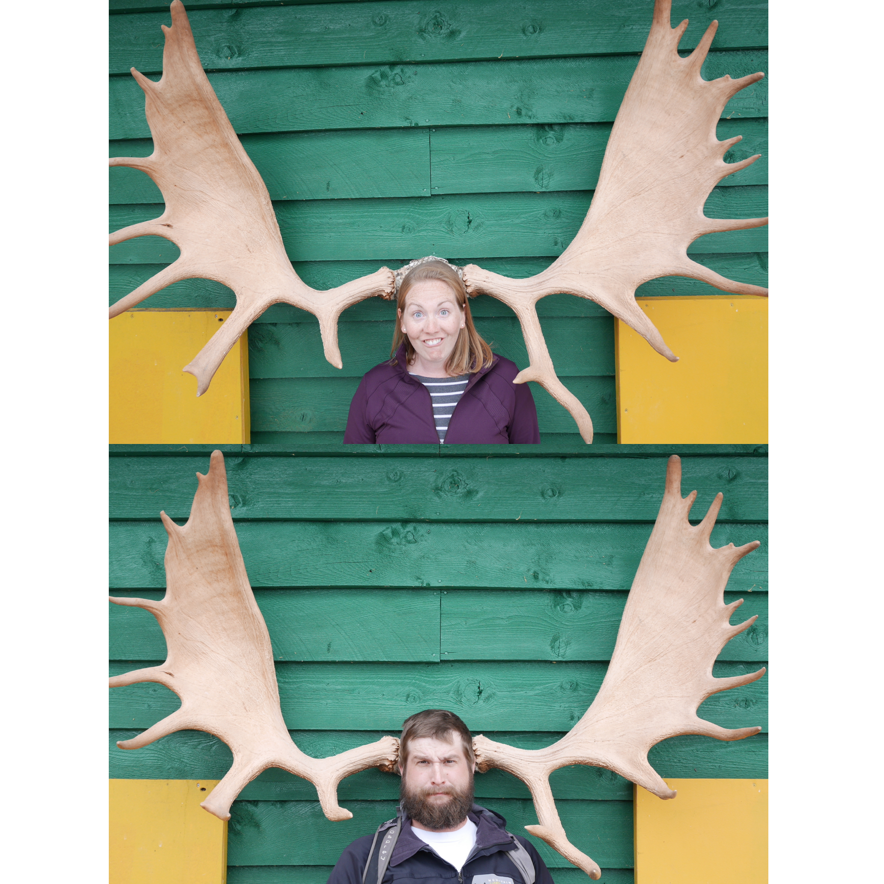 Halibut Cove, AK, 2017