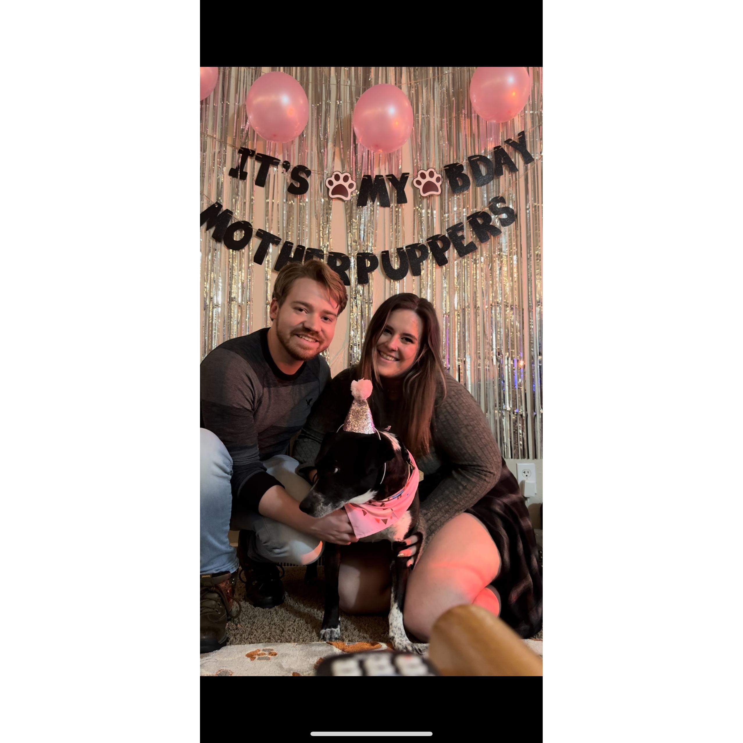 Double Income No Kids With A Dog