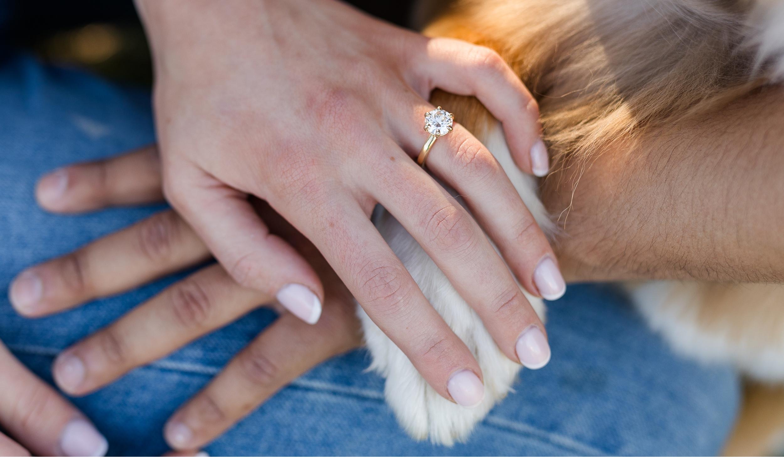 The Wedding Website of Michele Olsen and David Torres