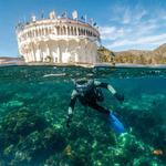 Catalina Tours