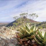 Top Of The Kasteelberg Mountain
