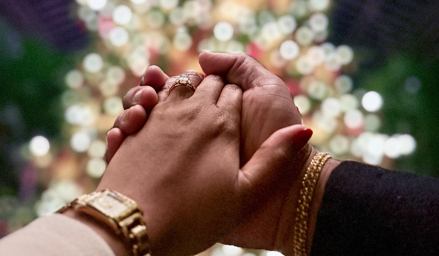 The Wedding Website of Ricky Amin and Nikitha Grace