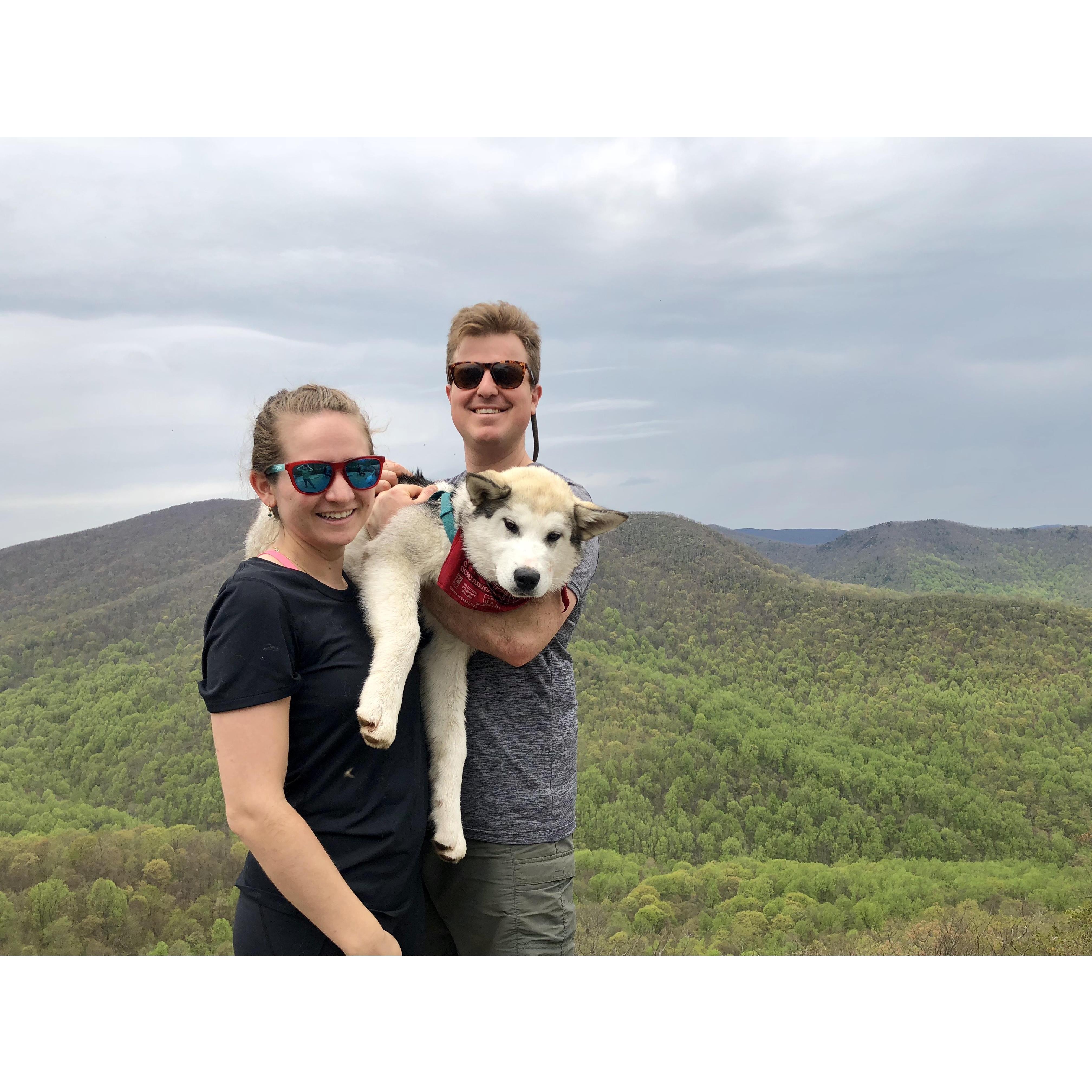 Feranator's first hike. She survived. Bear Church Rock, Shendandoah National Park, VA