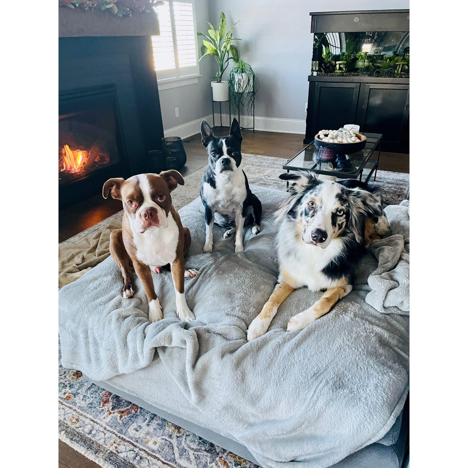 Our babies!