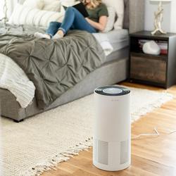 Miko, Smart Sensor Air Purifier, 1600sqft | Zola