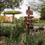 Antique Rose Emporium - Nursery & Display Gardens