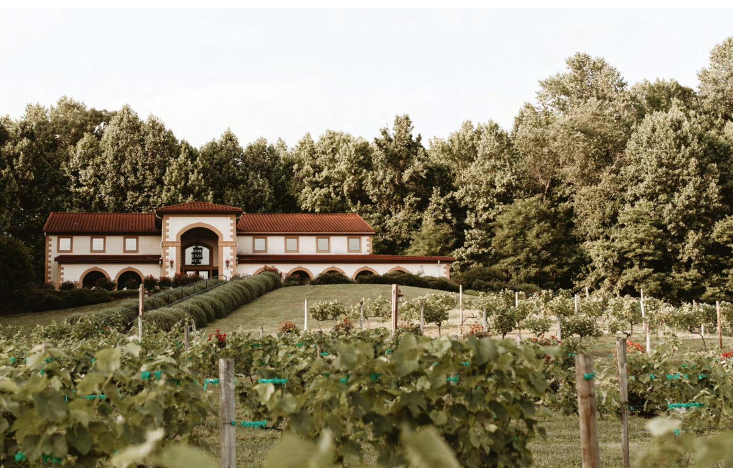 The Wedding Website of Christina Harris and Michael Bryant