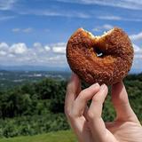 Carter Mountain Orchard & Country Store