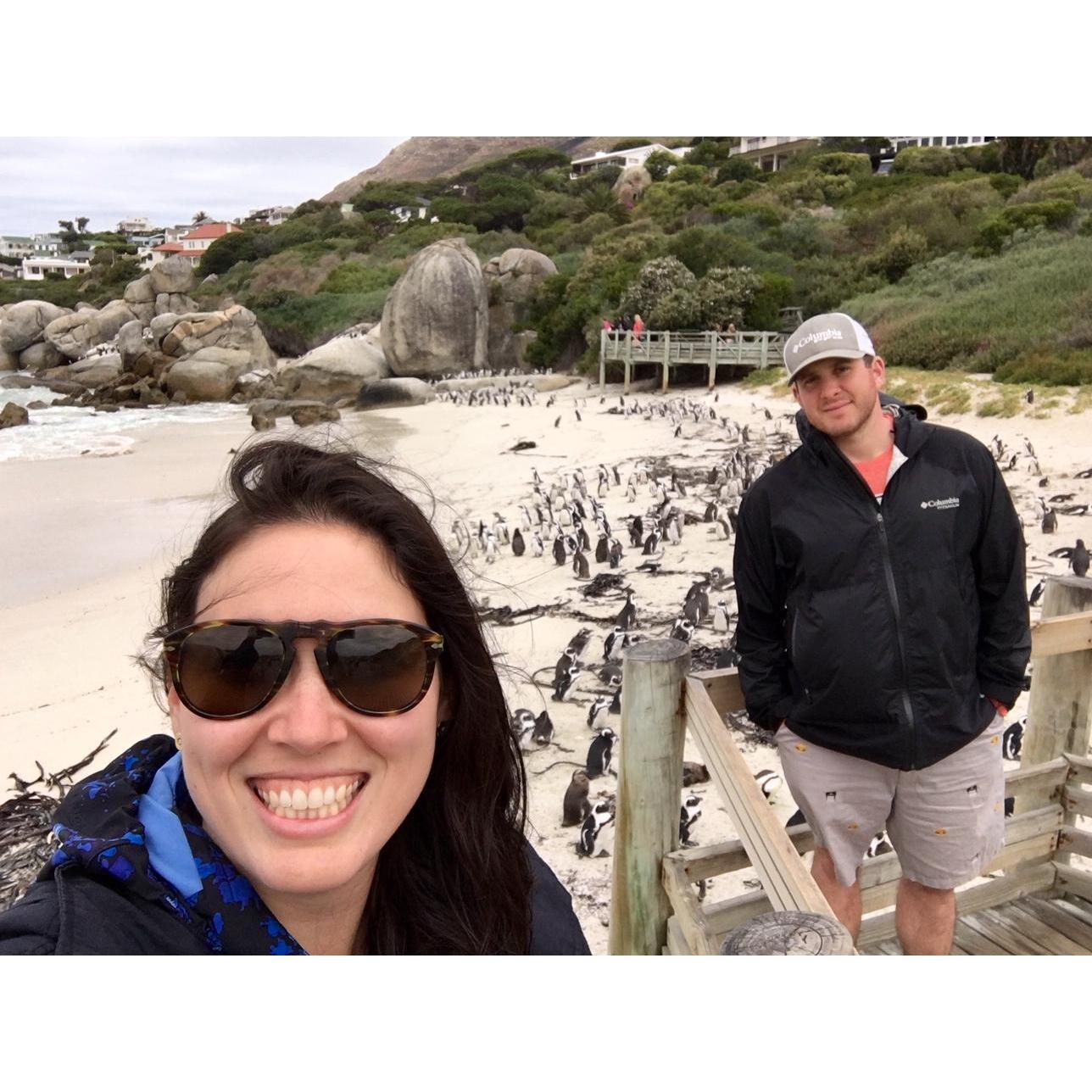 Penguins are our spirit animals.