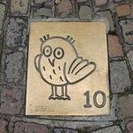 The Owl Route