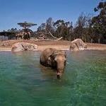 San Diego Zoo