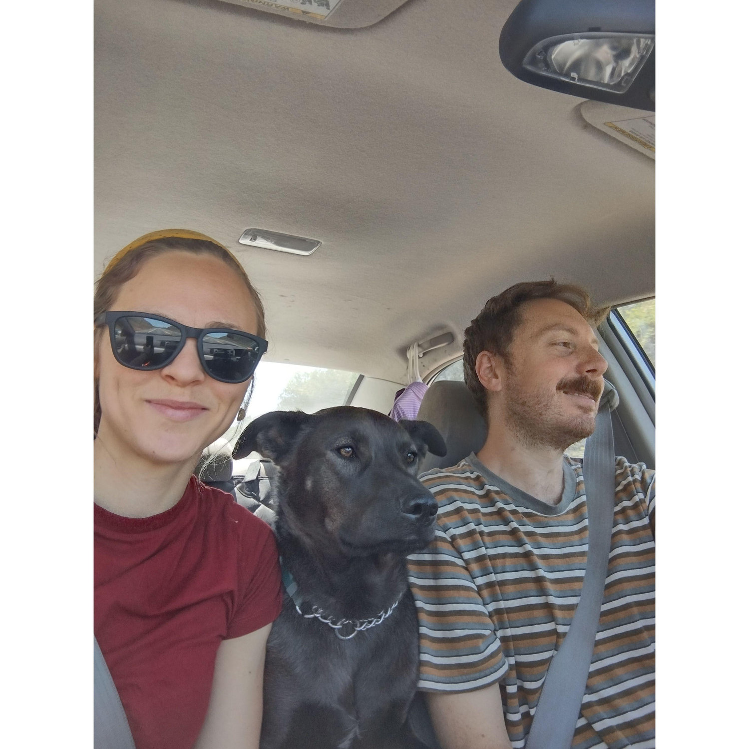 Ziggy is clearly our adventure buddy