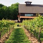 Shelburne Vineyard