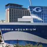 Georgia Aquarium