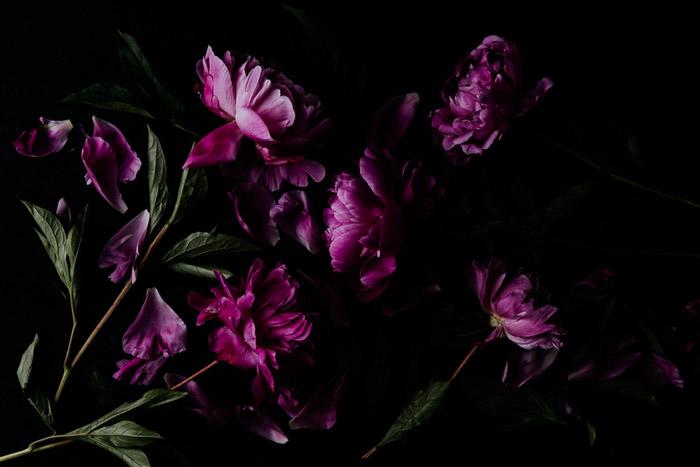 The Wedding Website of Natalie Gibbs and Michael Bruni