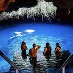 Devil's Den Prehistoric Spring
