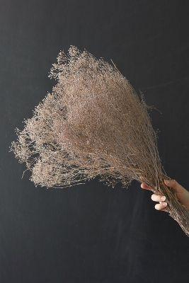 Dried Gypso Bunch