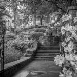 Winterthur Museum, Garden & Library