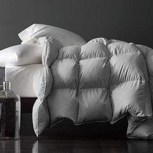 Royoliving Premium Feathers Down Comforter King Size All Season Gray 100% Cotton Cover Grey Down Duvet Insert with Corner Tabs, (106x90, 60 oz)