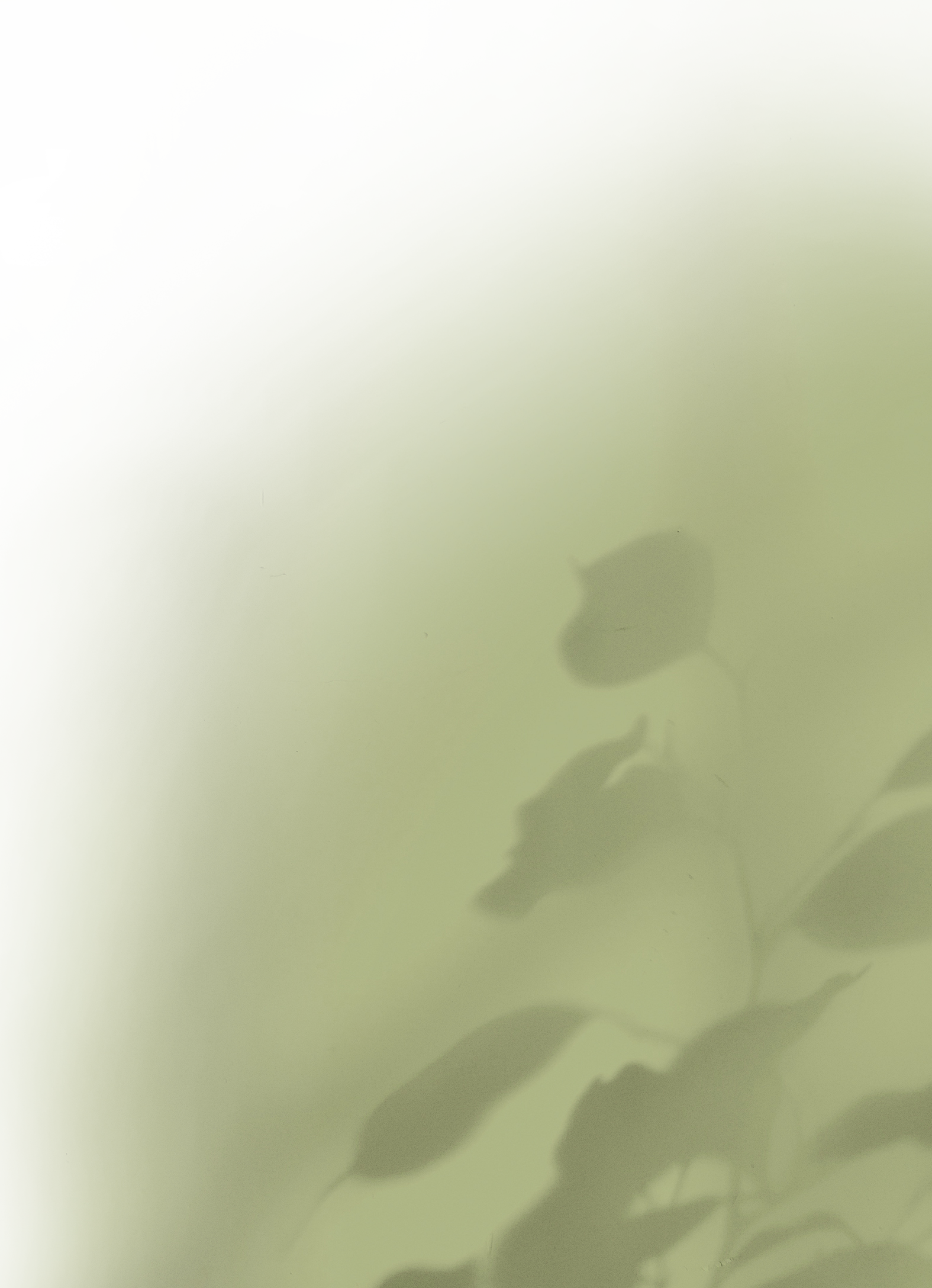 texture