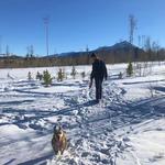 Buffalo Mountain Trailhead