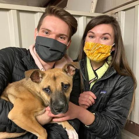 Impulsively becoming dog parents - '21