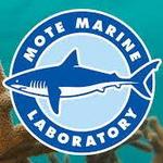 Mote Science Education Aquarium