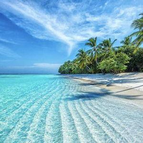 Honeymoon Resort