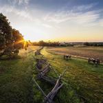 Cedar Mountain Battlefield