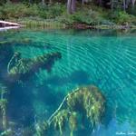 Clear Lake