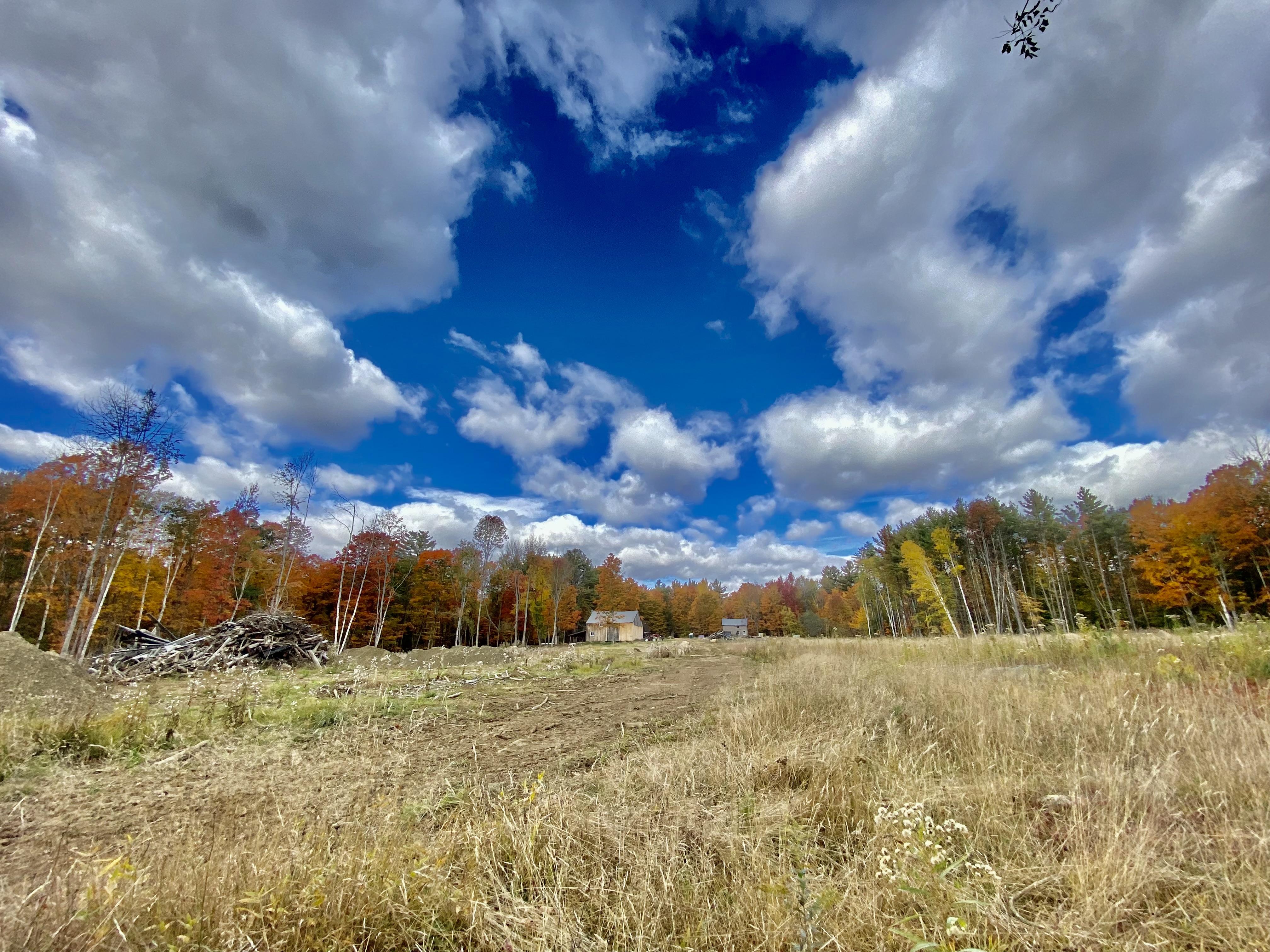 The Wedding Website of Mira Bowin and Andy Barker