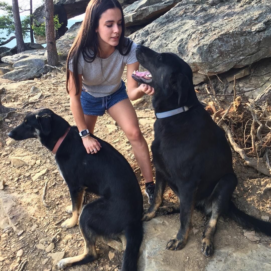 These two wandering dogs accompanied us on our Beauty Mountain hike during the proposal. We think they were the two of us in dog form.