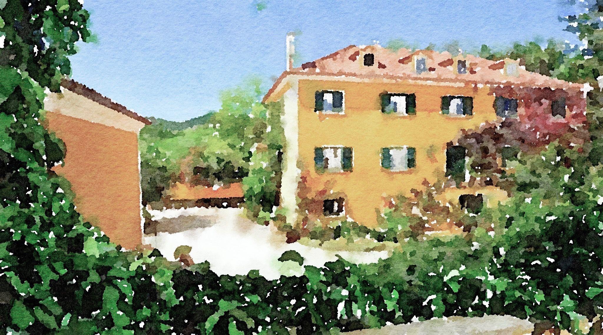 The Wedding Website of Ulyana Erokhina and Dario Camacho