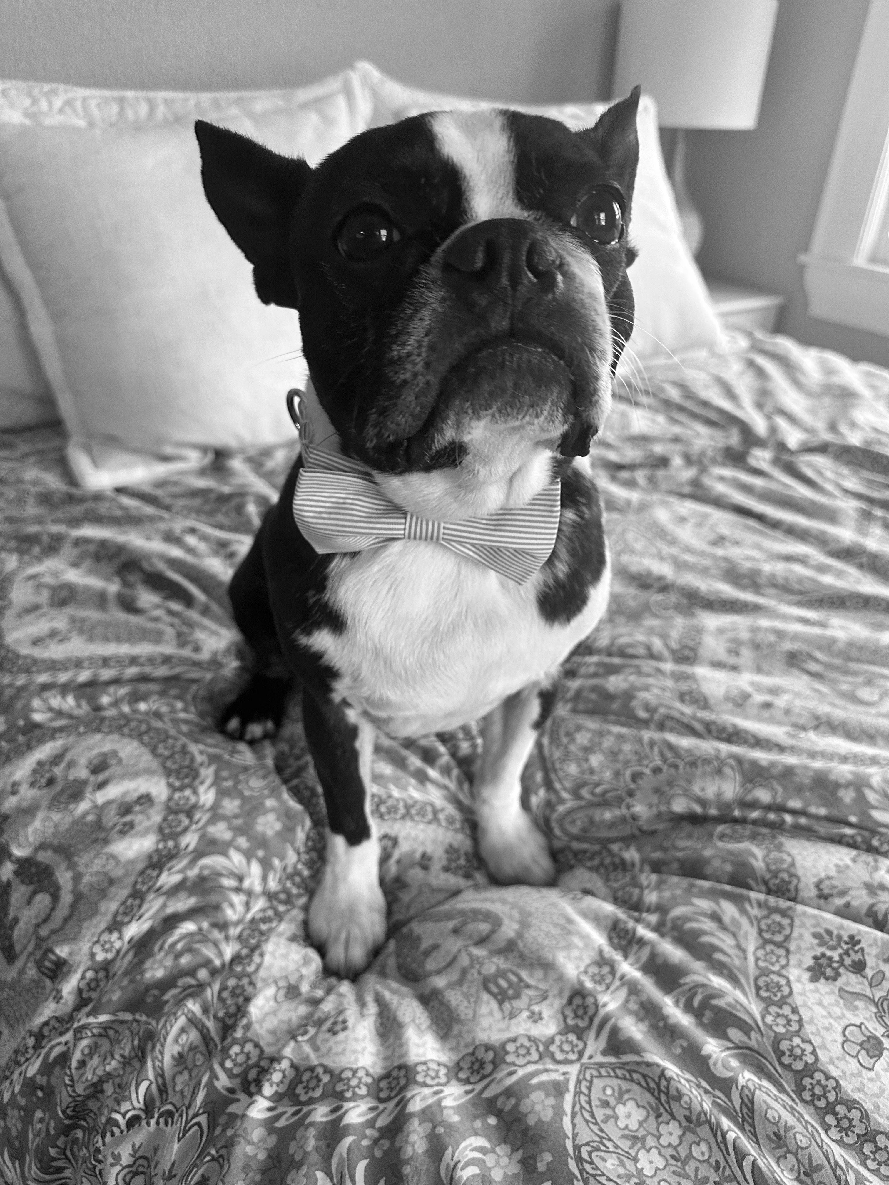 The Wedding Website of Mary Ogonowski and Matthew Howarth