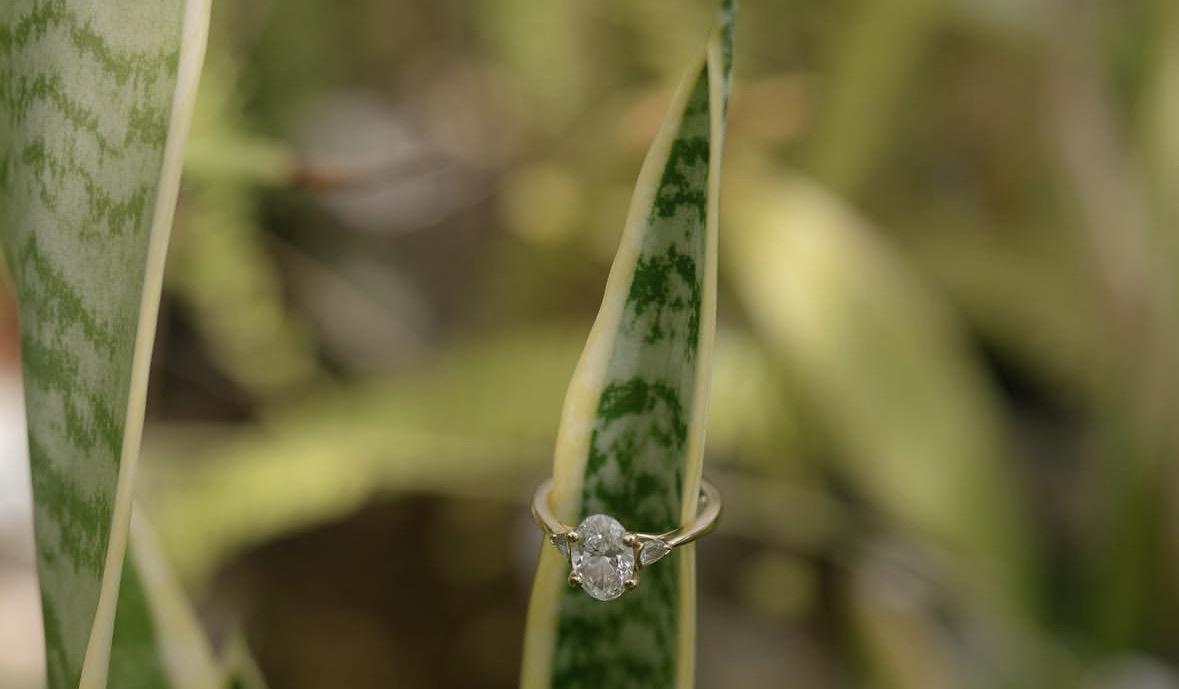 The Wedding Website of Chandler Wingreen and Jacob Madden