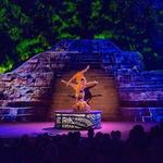 Rhythms of the Night