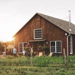 Arrowood Farms