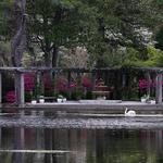 Airlie Gardens