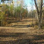 Quarry Road Trails