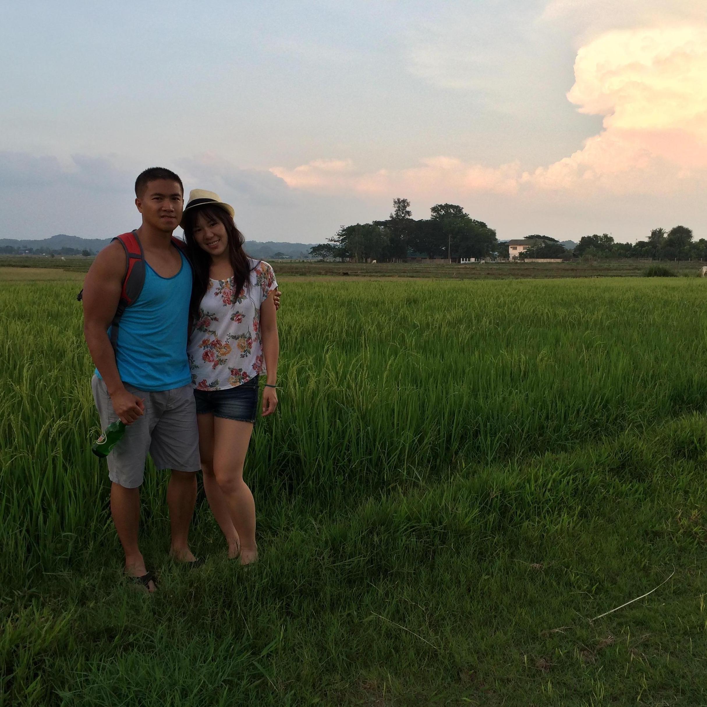 Rice Fields in Balangobong, Philippines