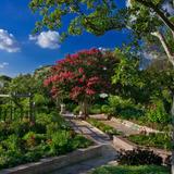 San Antonio Botanical Garden