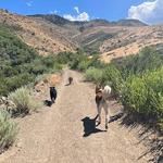 Hunter Creek Trailhead