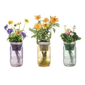 Mason Jar Indoor Flower Garden