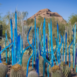 Desert Botanical Garden
