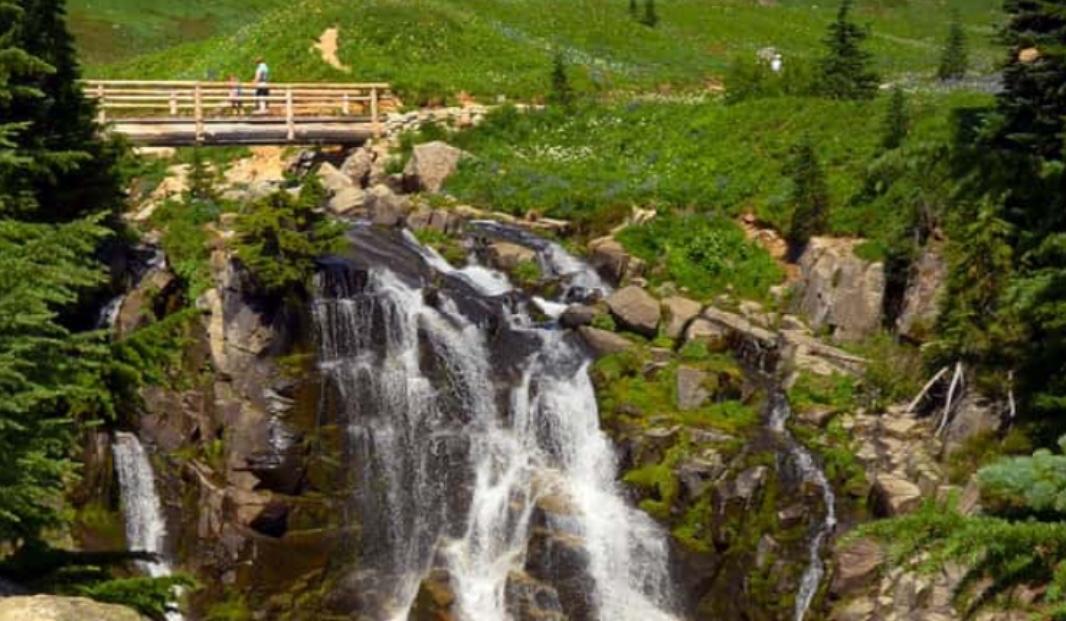 The Wedding Website of Alanna Levine and Clayman Kidd