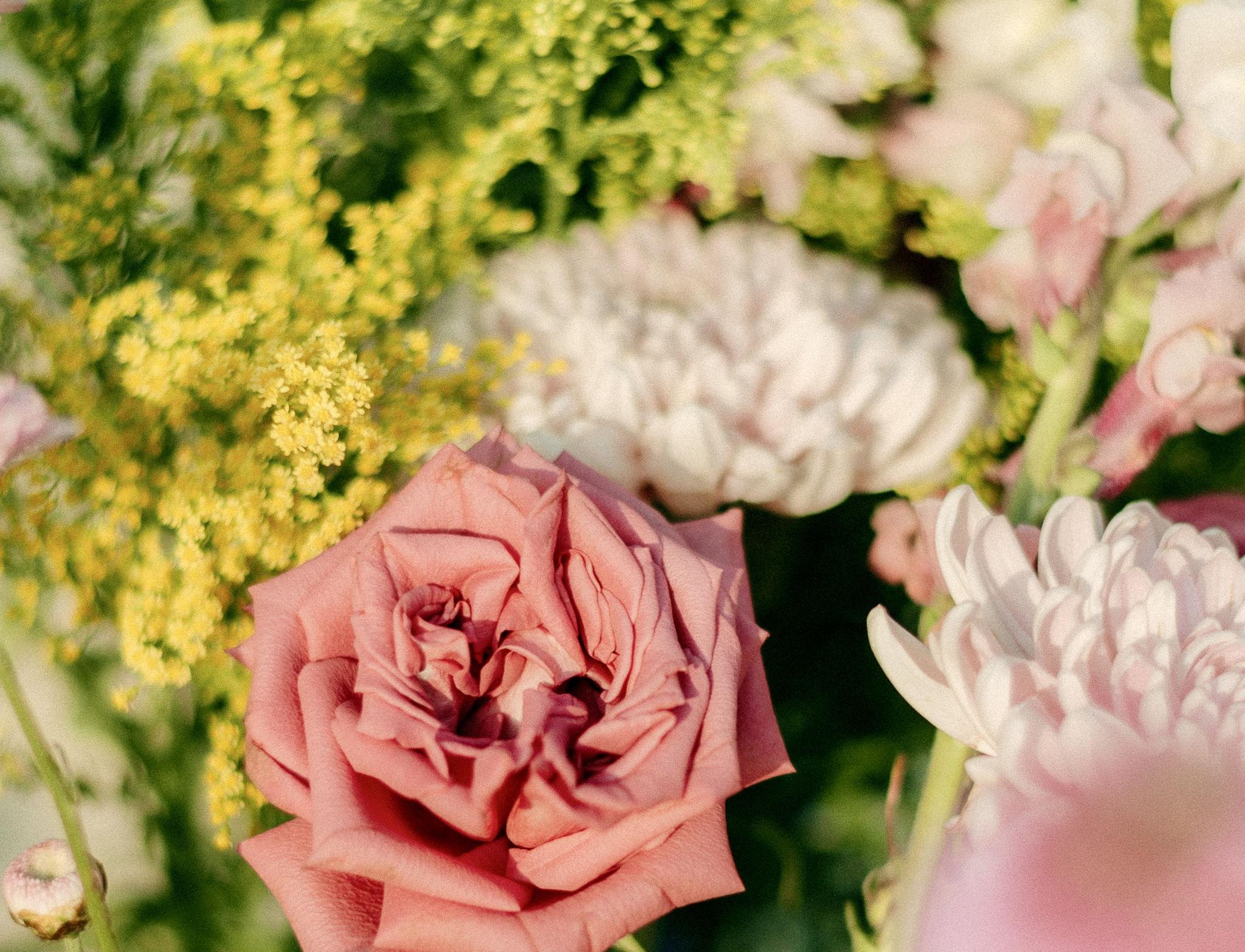 The Wedding Website of Michaela Atkinson and Patricio Garcia