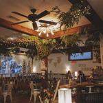Canopy + the Roots Coffee