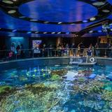 New England Aquarium