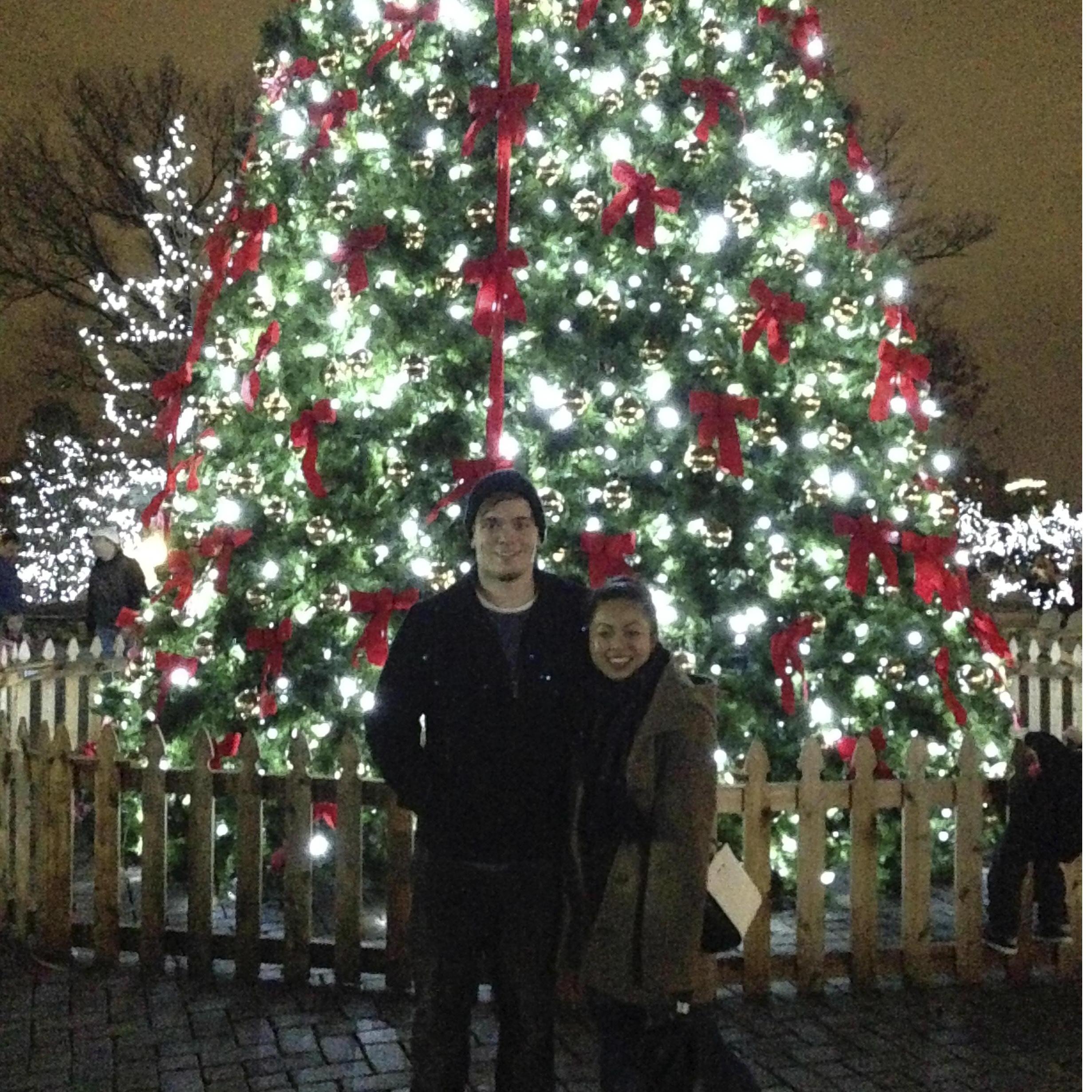Cincinnati Zoo's annual Festival of Lights.