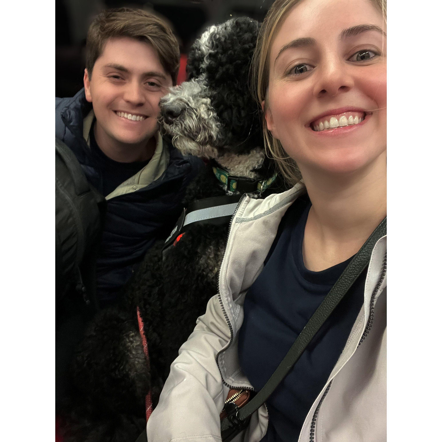 Endless NYC Train rides